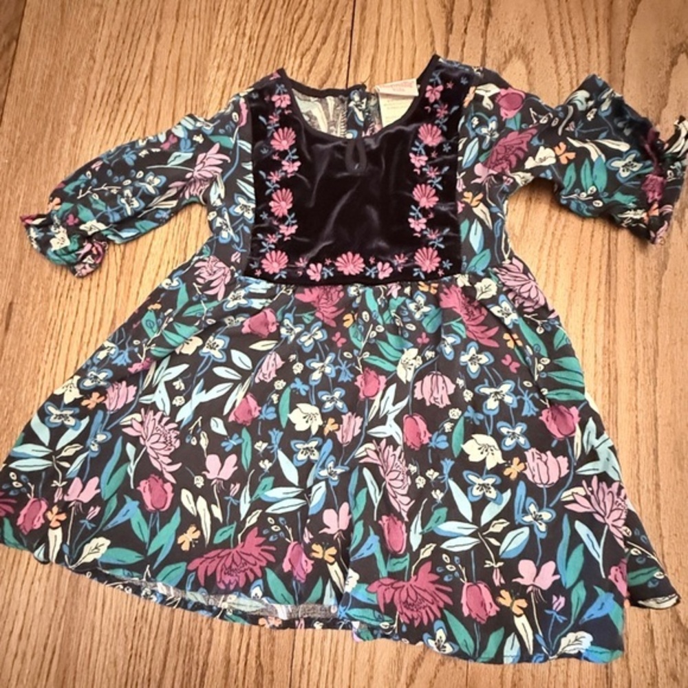 Nannette Toddler Girls 3T Dress with Embroidered Floral Design Black and Pink BC